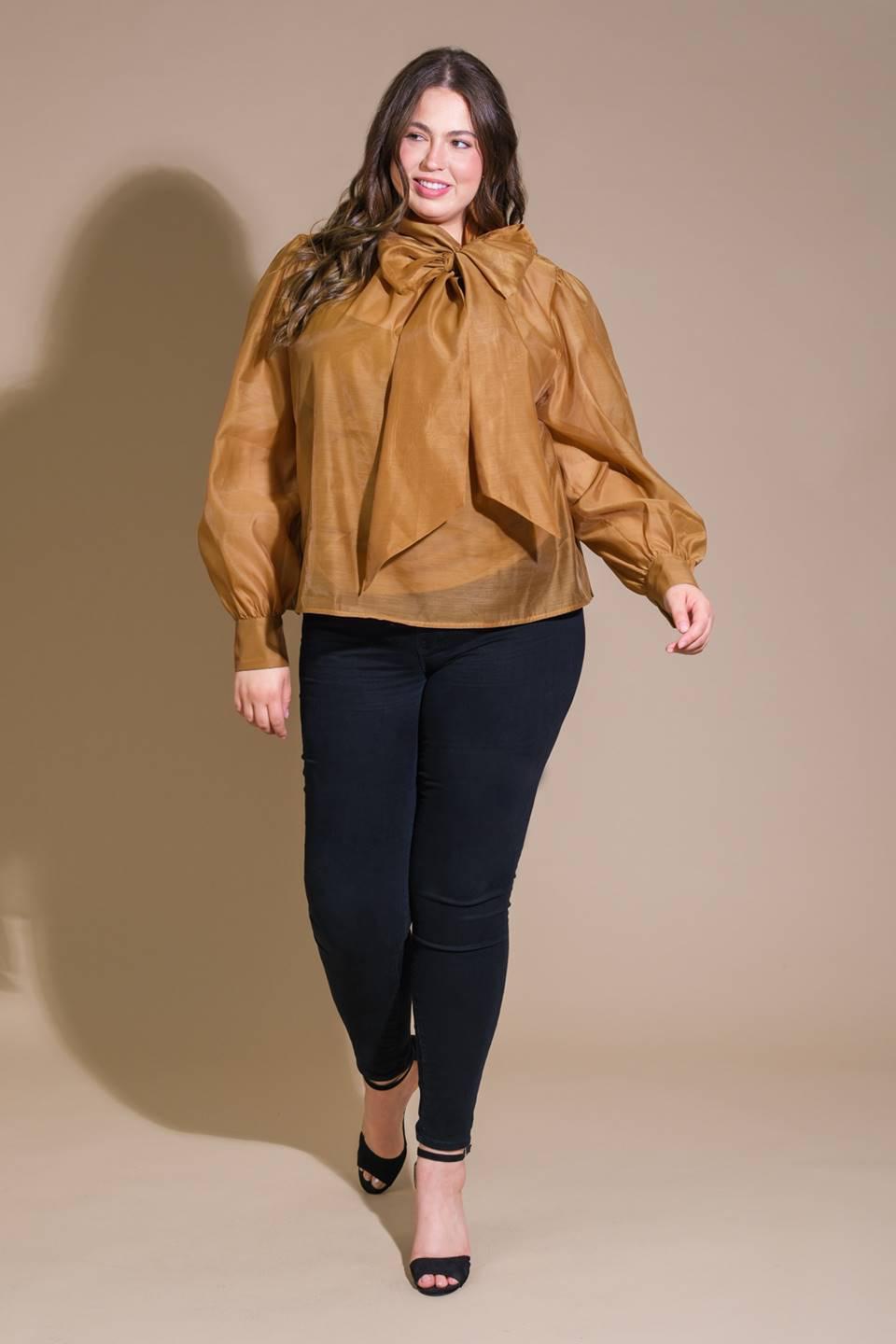 Organza Camel Top